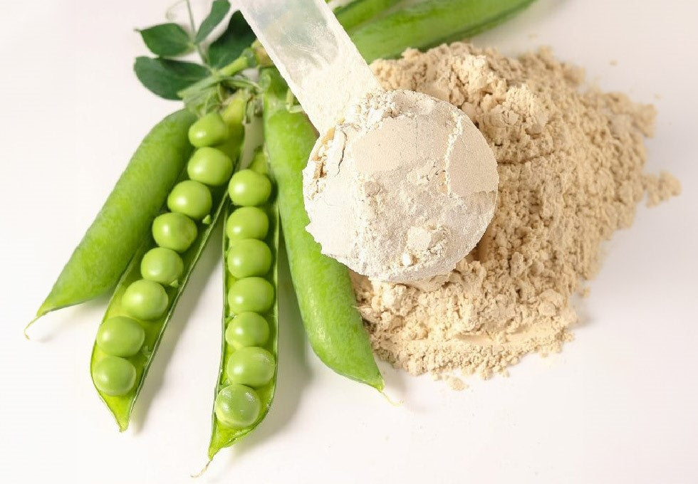 🌱 Proteínas veganas
