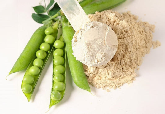 🌱 Proteínas veganas